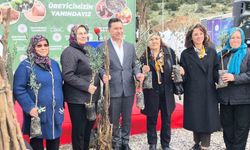 Muğla'da toprak gelecekle buluşuyor: '50 bin fidan üreticiye teslim edildi'