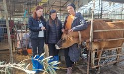 Muğla'daki projeyle üreticiler bilgilendiriliyor