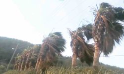 Muğla'nın Kuzey bölümleri için fırtına uyarısı