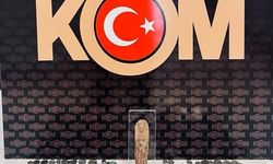 Muş'ta tarihi eser ve kaçakçılık operasyonu