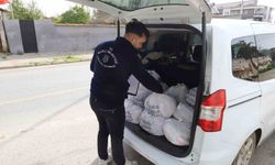 Nazilli Belediyesi Ramazan öncesi gıda yardımlarını artırdı