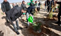 Nevşehir'de binlerce fidan toplarla buluştu