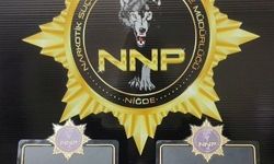 Niğde'de uyuşturucu operasyonu