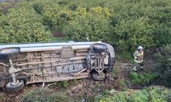 Öğrenci servisi narenciye bahçesine uçtu: 9 yaralı