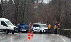 Ordu'da bir kişi ağaçta asılı halde ölü bulundu