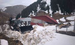 Ordu'da çığ düşmesi sonucu ahşap ev zarar gördü