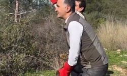 Osmaniye'de tedavileri tamamlanan şahinler, doğaya kanat çırptı