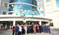 Özel Tekden Hastanesi kansere farkındalık için gökyüzünü renklendirdi