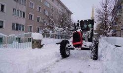 Palandöken Belediyesi karla mücadelede sahada