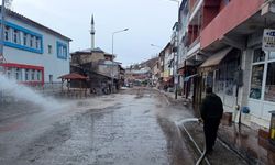 Posof'ta bahar temizliği