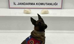 Şanlıurfa'da 2 kilo uyuşturucu ele geçirildi: 2 gözaltı