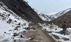 Sason'da heyelanlar vatandaşları tedirgin ediyor