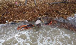 Sel sonrası 'milyonluk' yazlıkların önünde 'ekmek' mücadelesi