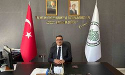 Seven: ''Sulak alanlar hayatın sigortasıdır''