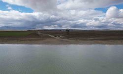 Seyfe Gölü'nde flamingo cümbüşü havadan görüntülendi