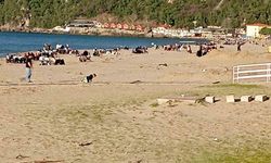 Sıcaklığın 28 dereceye çıktığı Bartın'da plaj ve parklar doldu