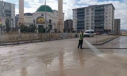 Siirt'te kaldırım ve caddeler yıkanarak dezenfekte edildi