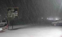 Silvan'da kar yağışı etkili oldu