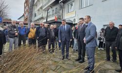 Sinop'ta 900 fırıncık armudu fidanı dağıtıldı