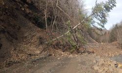 Sinop'ta heyelan nedeniyle ulaşım durdu