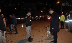 Şırnak'ta 700 polisin katılımı ile 'Narko Alan' uygulaması