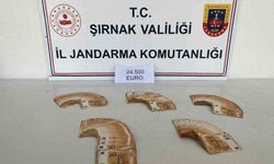 Şırnak'ta jandarmadan kaçakçılığa büyük darbe