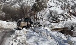 Şırnak'ta karla mücadele çalışmaları devam ediyor
