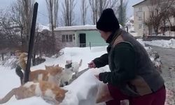 Sokak hayvanlarını beslemek için her yıl bin 400 kilometre yol geliyor