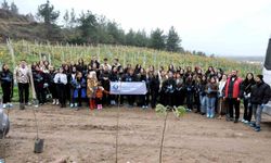 SUBÜ öğrencileri fidanları toprakla buluşturdu