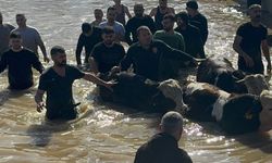 Taşan Gediz Nehri dolayısıyla mahsur kalan 44 kişi ve 127 hayvan kurtarıldı