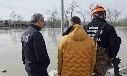 Taşkında mahsur kalan atlar için botlarla seferberlik