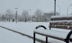 Tatvan'da kar yağışı
