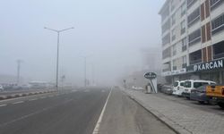 Tavşanlı'da yoğun sis nedeniyle görüş mesafesi düştü