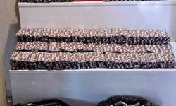 Tokat'ta 55 bin sentetik ecza ele geçirildi