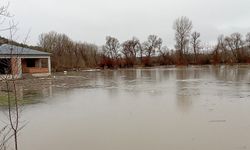 Tokat'ta Çekerek Irmağı taştı, tarım arazileri sular altında kaldı