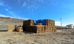 Tokat'ta elektrik akımına kapılan genç son yolculuğuna uğurlandı