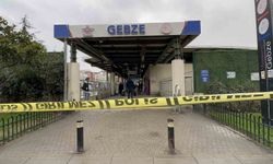 Tren istasyonundaki kadın cinayetine ilişkin yeni detaylar