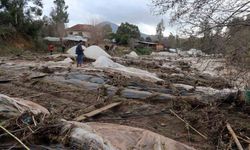 Tüm birikimlerini 1 saatte kaybettiler