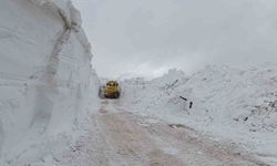 Türkiye-İran sınır hattında karla mücadele çalışması