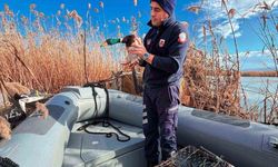 Uluabat Gölü'nde usulsüz avlananlara 431 bin TL ceza