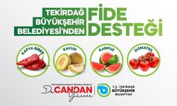 Üreticiye yüzde 70 hibeli fide desteği