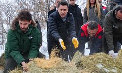 Vali Aygöl, yaban hayvanları için sahada