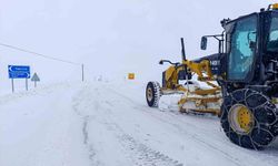 Van'da 141 yerleşim yerinin yolu kapandı