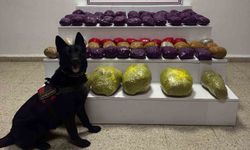 Van'da 31,5 kilo uyuşturucu ele geçirildi
