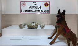 Van'da bir ayda 224 kilo uyuşturucu ele geçirildi