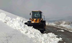 Van'da kar nedeniyle kapanan 67 yerleşim yerinin yolu açılıyor