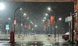 Van'da kar yağışı yeniden etkili oldu