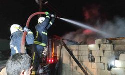 Van'da korkutan ahır yangını: 3 inek son anda kurtarıldı