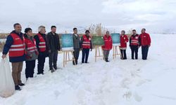 Van'da yaban hayvanları unutulmadı