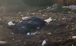 Vatandaşların kirlettiği ormanlık alanı muhtar temizledi